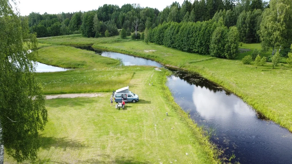 Cali auf Wiese im Baltikum